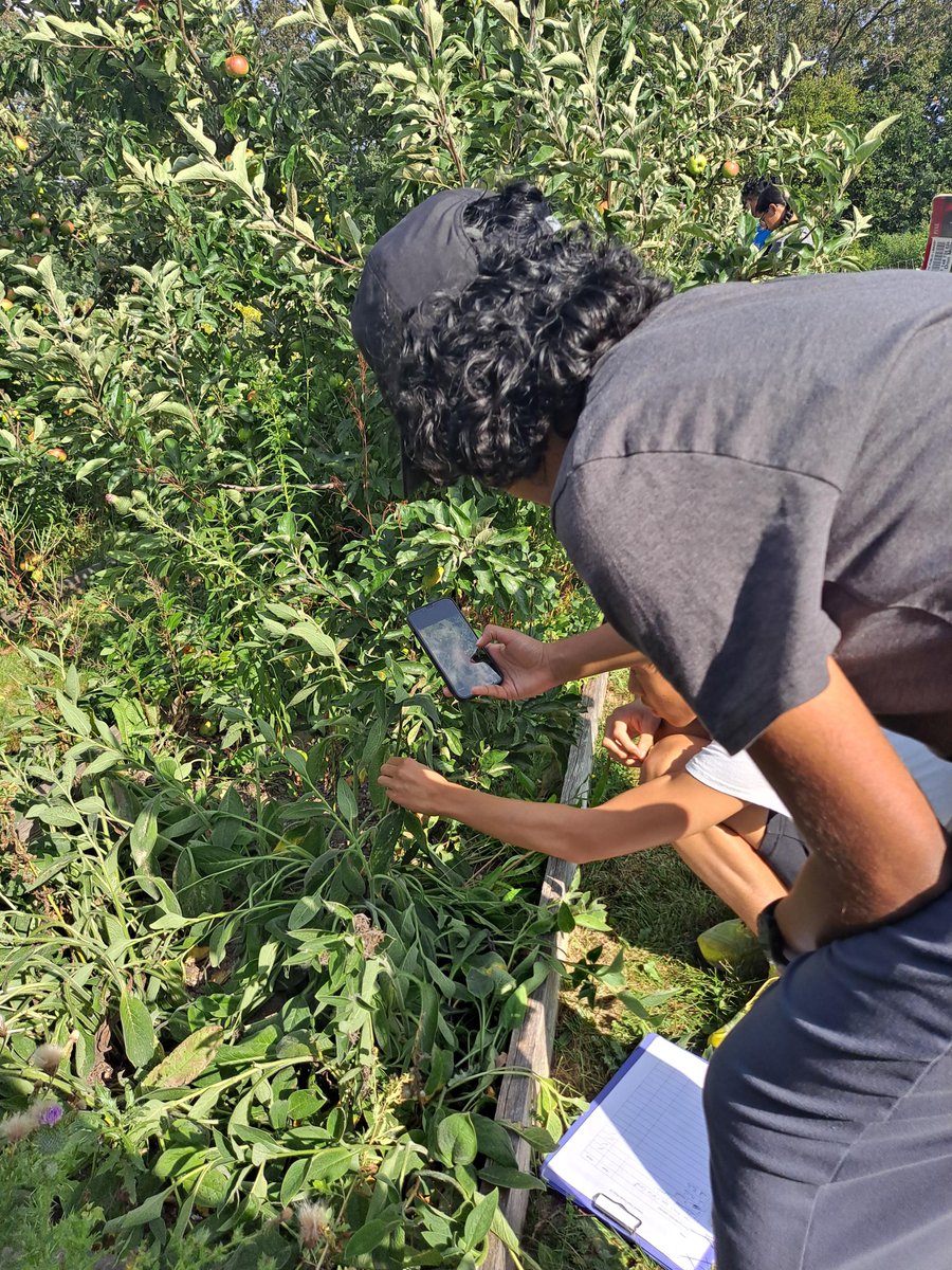 EcosourceGreen's tweet photo. Thank you to all of the volunteers who came out to learn about plant identification & put their skills to the test by inventorying the native & wild plants growing in the food forests at the Iceland Teaching Garden, which we can now continue to cultivate!
@TD_Canada #TDFEF https://t.co/jGax6g7T7o