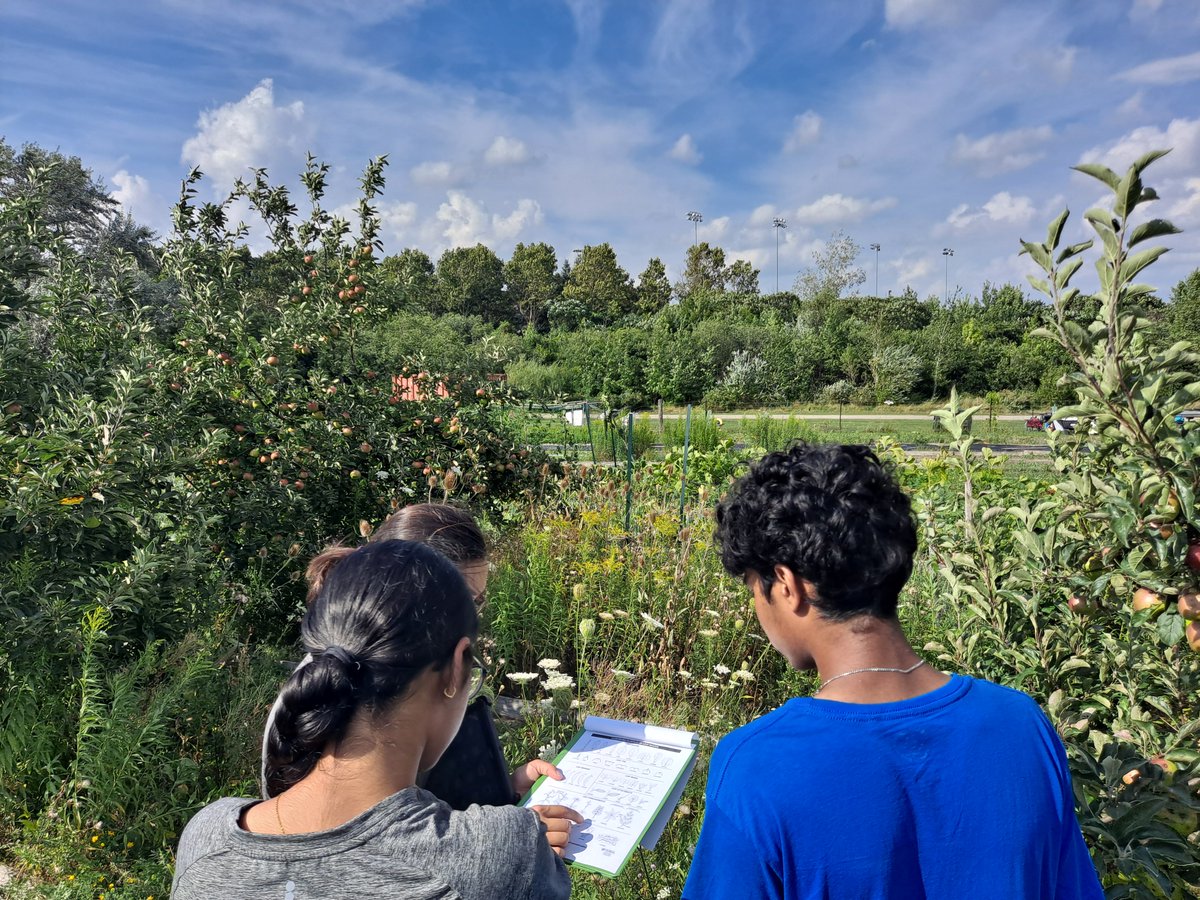 EcosourceGreen's tweet photo. Thank you to all of the volunteers who came out to learn about plant identification & put their skills to the test by inventorying the native & wild plants growing in the food forests at the Iceland Teaching Garden, which we can now continue to cultivate!
@TD_Canada #TDFEF https://t.co/jGax6g7T7o