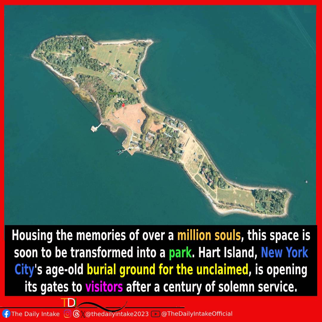 Did you know there's an island in New York City that's been a silent guardian of over a million unclaimed souls for a century? Soon, it's taking on a new life as a park! 🌳🏙️ #NYCTrivia #Park #BurialGround #HartIsland🌴#USA