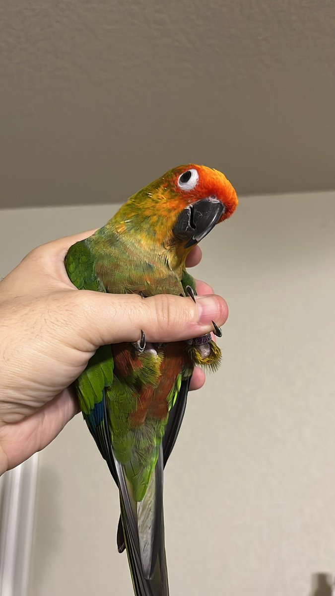 *grabs you like this*