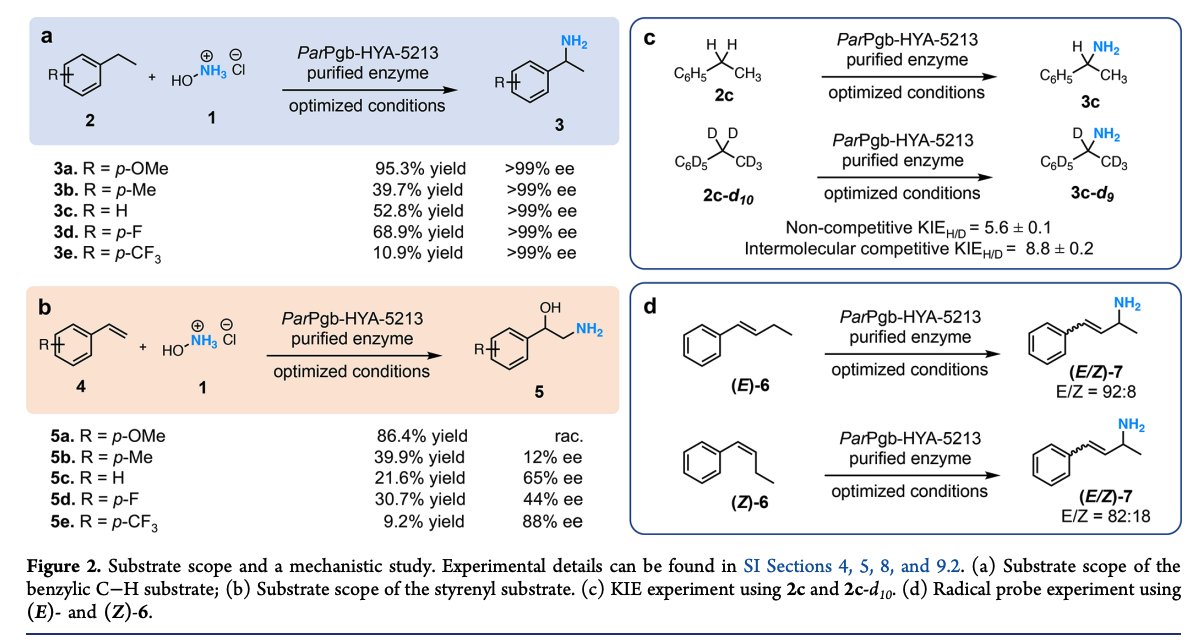 Enzyme Chemistry tweet media