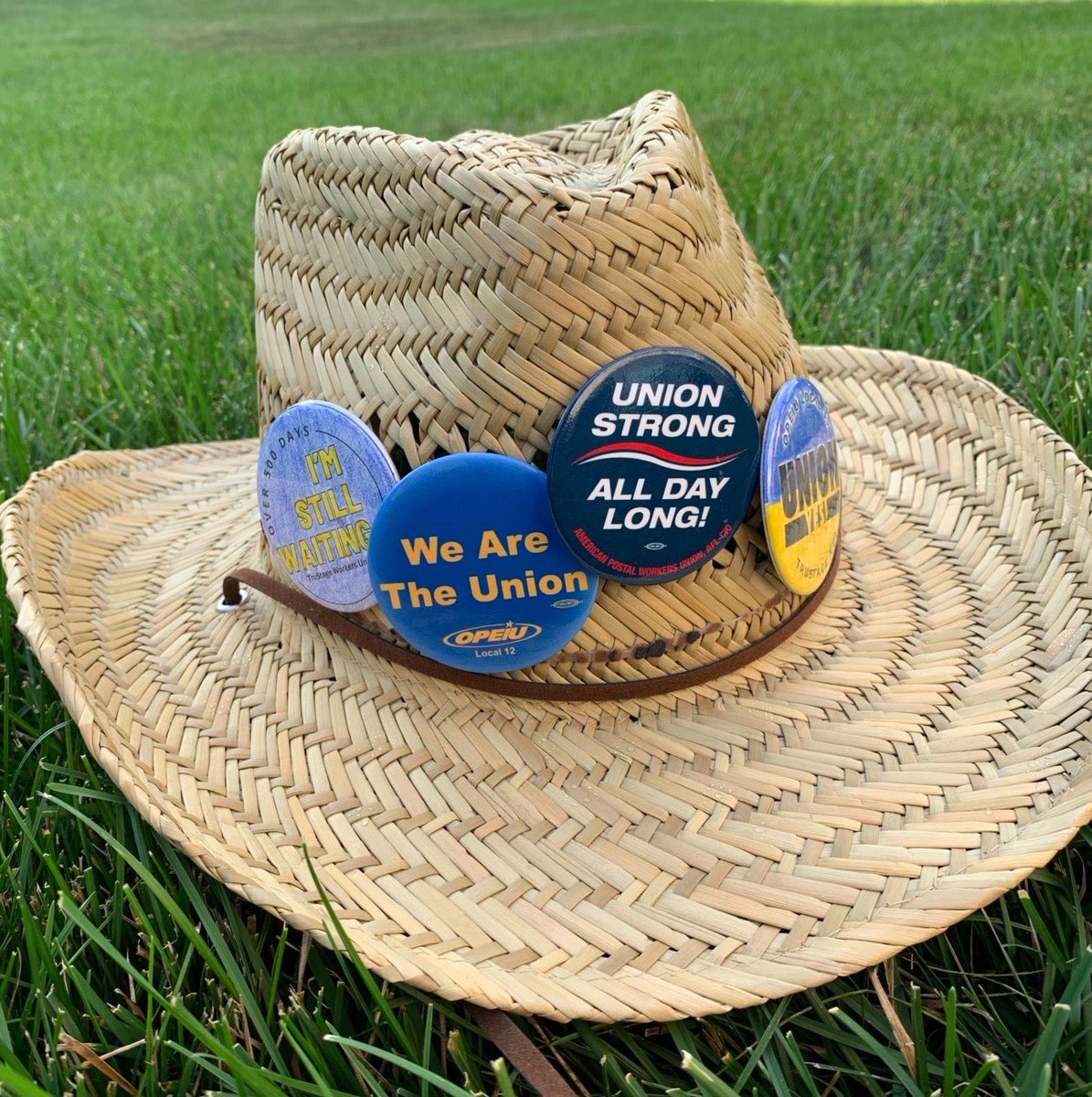 TruStageUnion's tweet image. Still soaking up the solidarity from Monday’s Labor Fest! Thank you to everyone who came up to us to express their support for #TruStage workers. A BIG thank you to @LaborSCFL for bringing us all together!