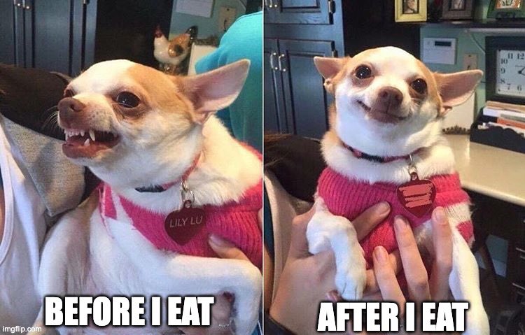 josie_kropp's tweet photo. Before I eat vs. After I eat π‘πππ#hangermanagement #MCO335 https://t.co/qo87zj6spF
