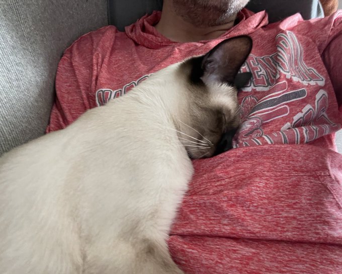 Burt loves the soothing sound of &ldquo;Saw II&rdquo; playing while I take notes. https://t.co/6nUHZKQ2ig<a href="/tag/c2e2"class="tags"><span>#c2e2</span></a>