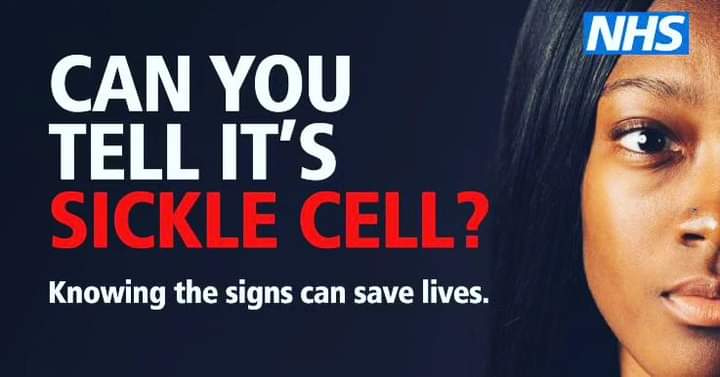 The Rebel With A Cause CIC tweet media