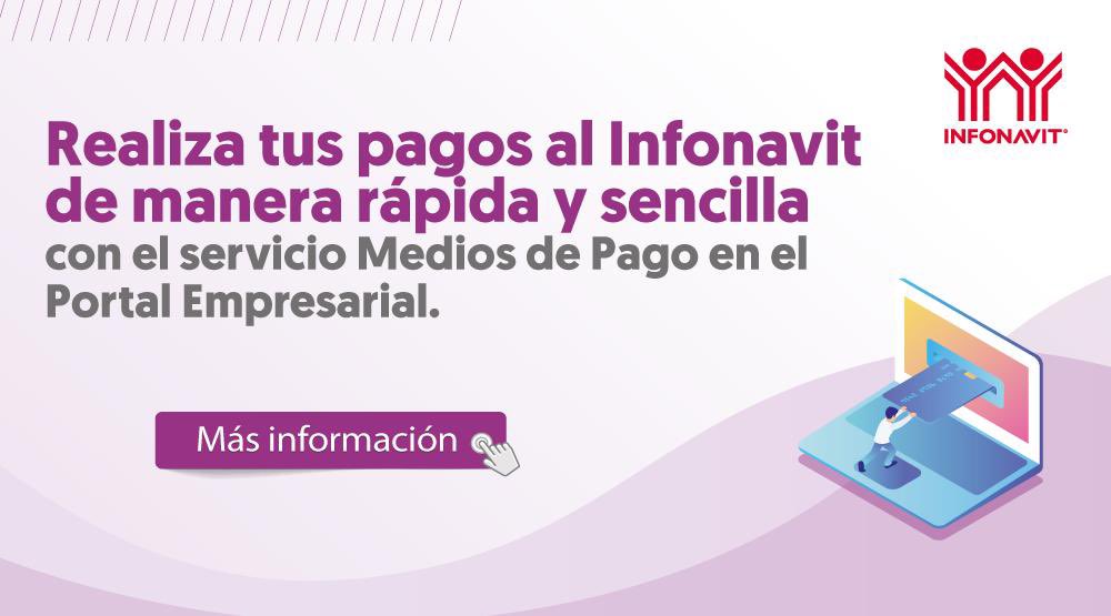 Anexo  5 publicaciones.

I N F O N A V I T