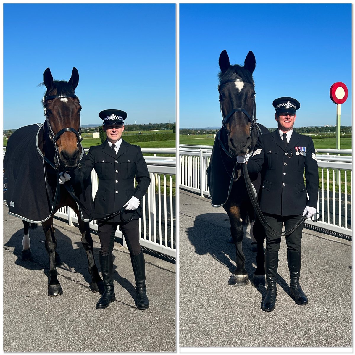 MerPolMounted's tweet image. Yesterday Jake &amp;amp; Major attended Aintree Race Course to receive their long service award from our @merpolchiefcon in recognition of 20 years of service within the force.

They received a new rug, a certificate &amp;amp; plenty of apples and carrots. #PHJake #PHMajor #StandTall #YesICried