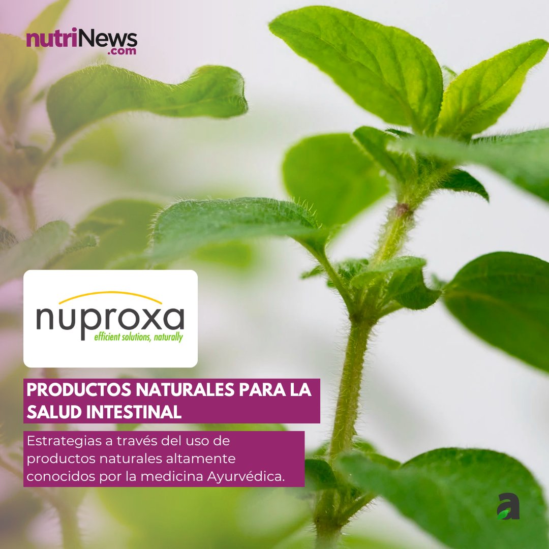 nutriNewsLATAM's tweet photo. Junto a @nuproxa , compartimos «Productos Naturales como estrategia integral a la #saludintestinal» 🌱​​🐣 

¡En https://t.co/8EUMmH2gre dispones del texto completo! 🔎🦠  

Accede a través de 👉 https://t.co/soiqoZF8Xe 🔗 https://t.co/jOVVNz8fsL