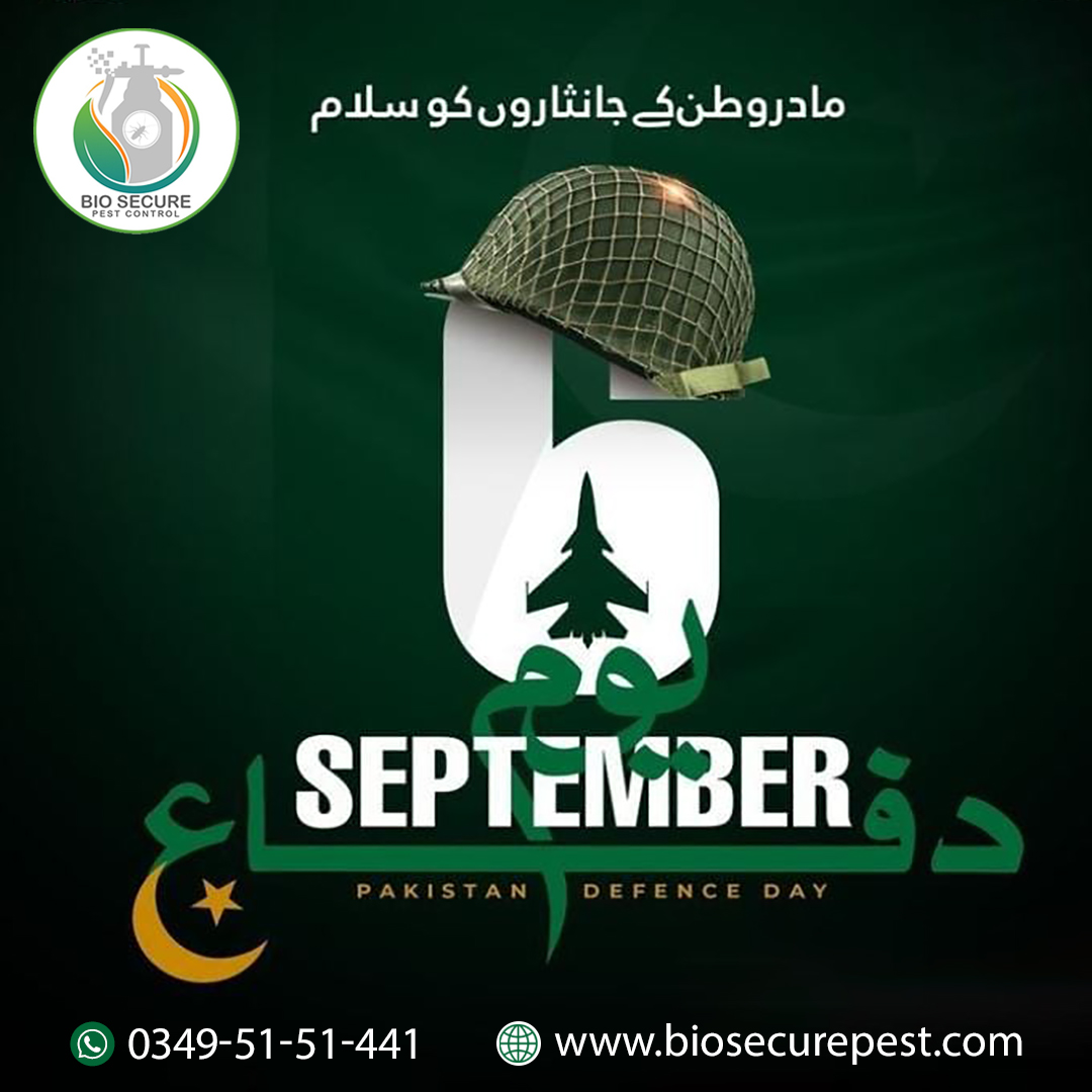 BiosecureP's tweet photo. Pakistan's Resilience: Commemorating Defense Day

#pakistanday #PakistanDefenceDay #6September https://t.co/NooMII5F9u