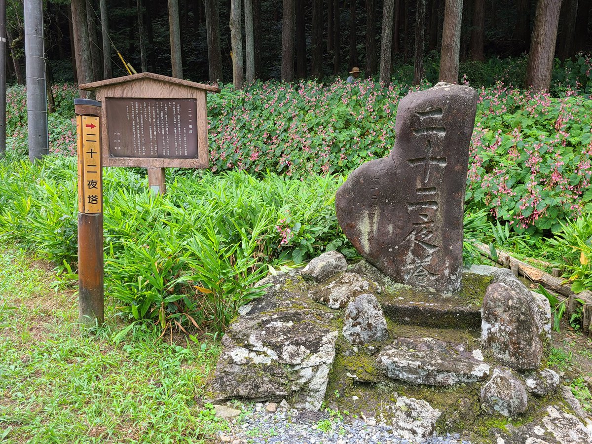 CamuiAtu's tweet image. 比企郡小川町  

秋海棠の群生地   二十二夜塔 
月待塔は特定の月齢🌕️の夜に人々が集まり月の出を待つ行事を行った講中で供養のしるしに造立した塔です 二十二夜塔は女人講である 女性達が集まり夜半近く半分近く欠けた月🌙の出を待ち安産祈願をしたと言われている 
#比企郡小川町
#秋海棠