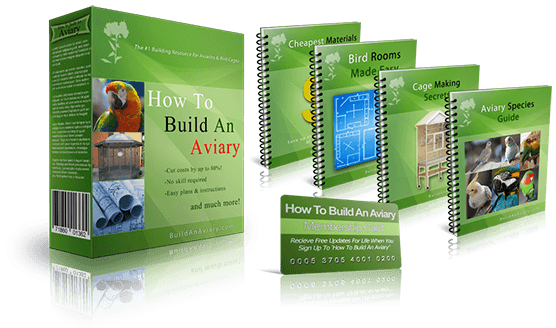 Get Your Digital Copy of
"How To Build An Aviary"
Plus x4 Bonus Materials As Well!

Hate waiting? It only takes 3 minutes to gain access to these materials - soon you'll be well on your way to building your very own aviary!
bit.ly/BuildA7
