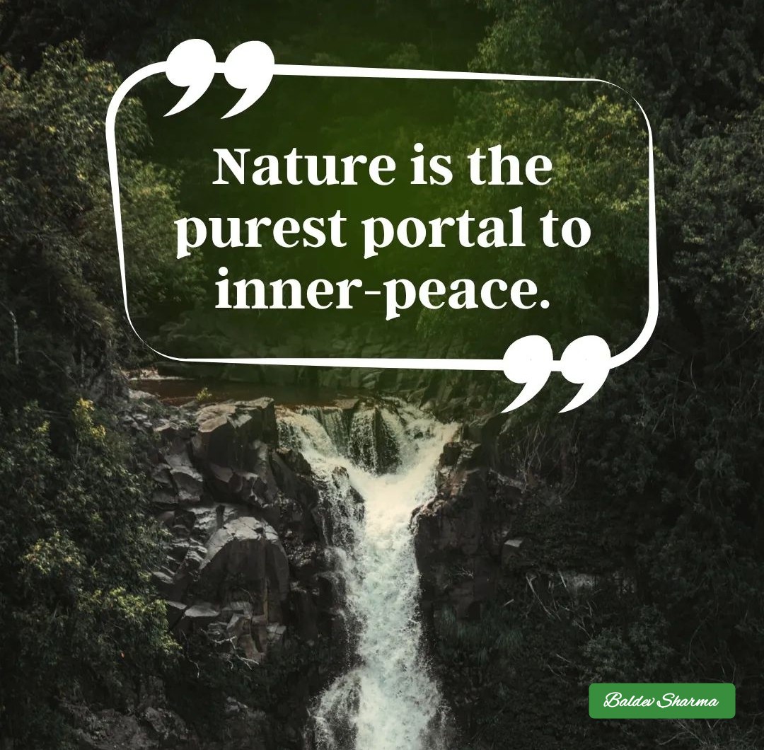 Nature is the purest portal to inner-peace
Thought Of The day 🍁
.
.
.
.
.
#EnglishQuotes #ThoughtOfTheDay #Quote #Message #Motivation #Quotation #Motivational #Motivated #Motivating #Quoting #inspiration #success #life #morning #PostiveMind #positivebrains #Inspiration