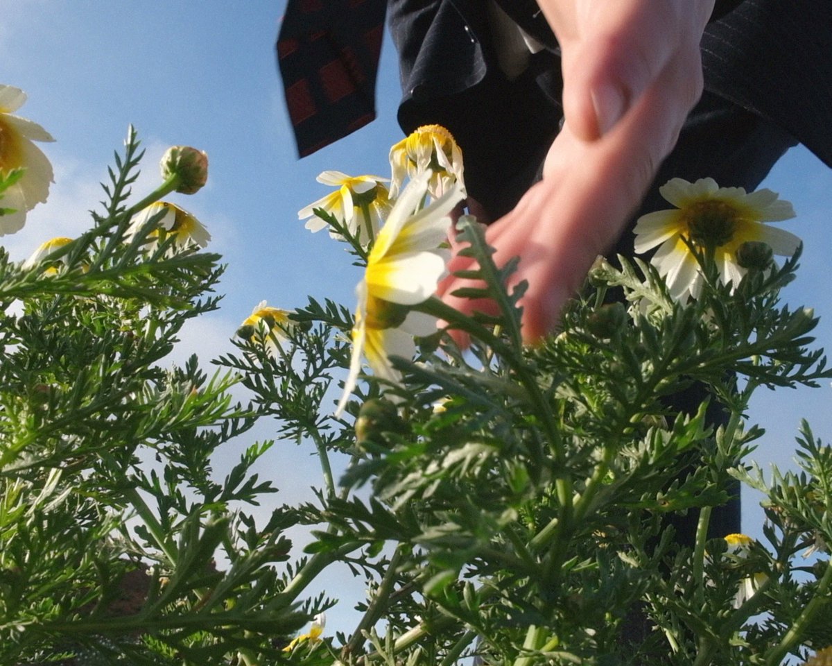 blopvideo's tweet photo. Earlier this year, we joined @oliver.marson on a journey through the beautiful terrain of Lanzarote. We created a music video for his new single ‘Flowers of Evil’, the final release before his debut studio album’s launch later this year. 

#blop #londonmusicscene #newmusic https://t.co/W9lDzZeD9r