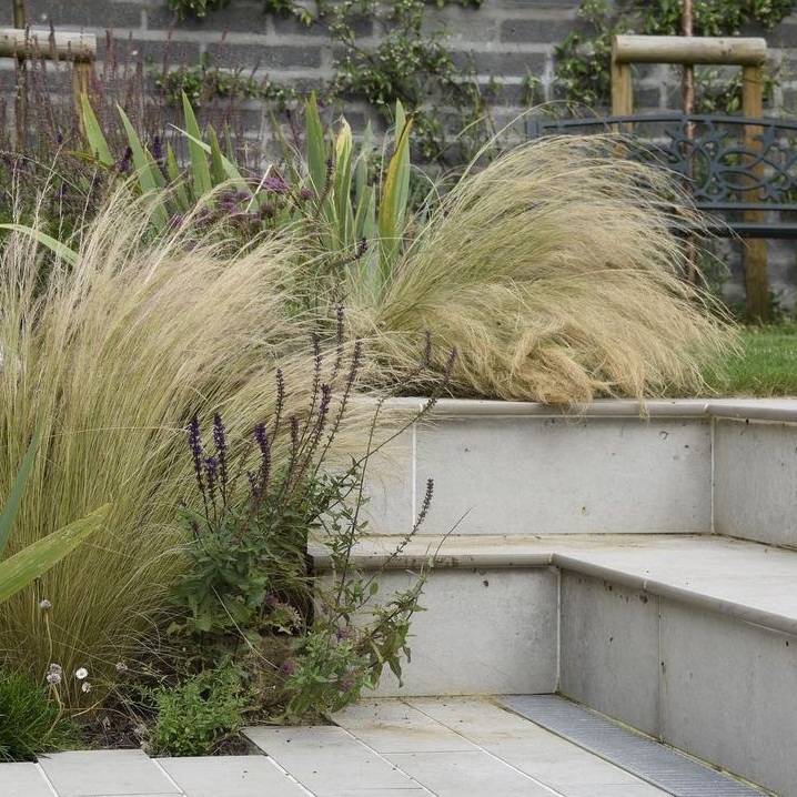A lovely garden that Chris Hull Gardens created last year. The simplicity of this garden works with the stunning Cedar clad home. Chris Hull will be taking part in the Discovery Day at LANDSCAPE! It aims promote different career paths in the industry, register to attend &amp; learn!