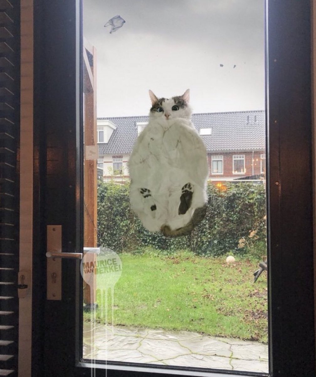 一体何が起きてるんだ...