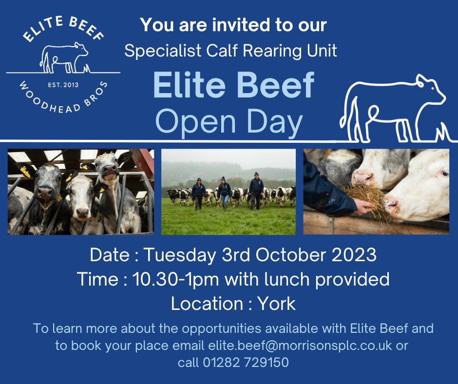⬇️Book your place now 📞