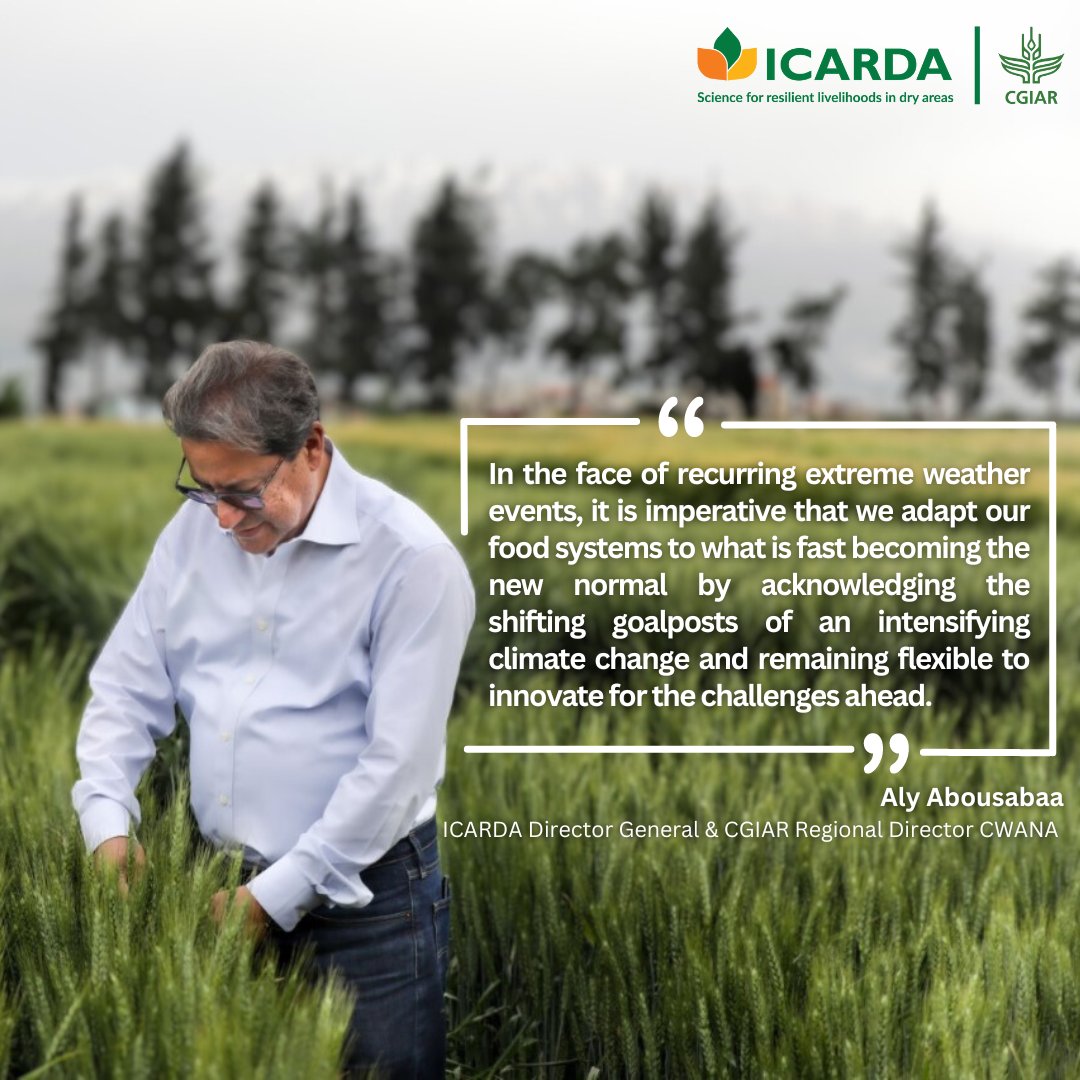 🌍 As climate change intensifies, the need for climate-smart food systems becomes undeniable. Read ICARDA's Director General & @CGIAR Regional Director CWANA, @alyabousabaa, insightful op-ed on the urgent actions needed to adapt our food systems. ➡️ icarda.org/media/blog/cli…