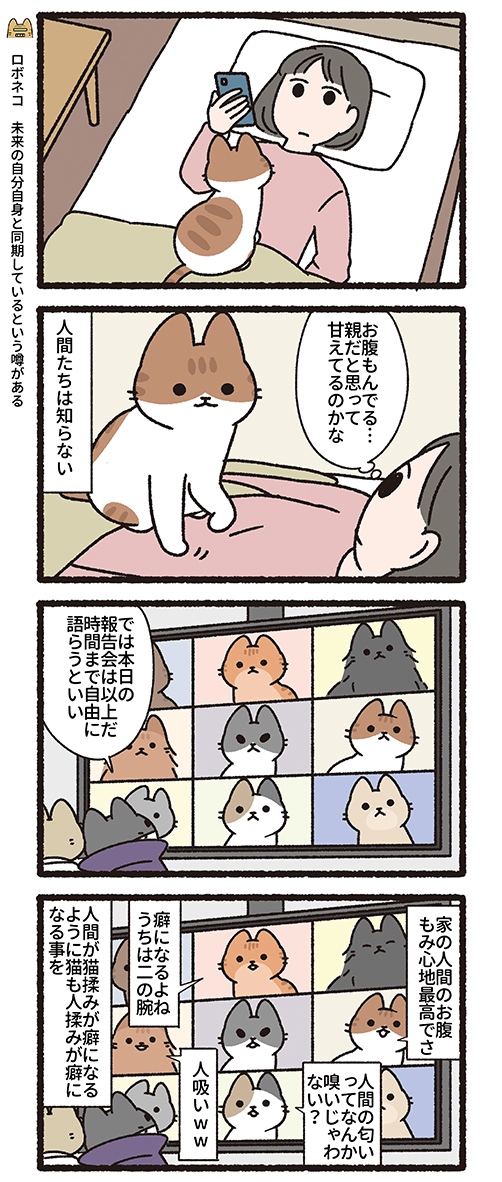 悪の秘密結社ネコ 人間は知らない…編 #悪の秘密結社ネコ