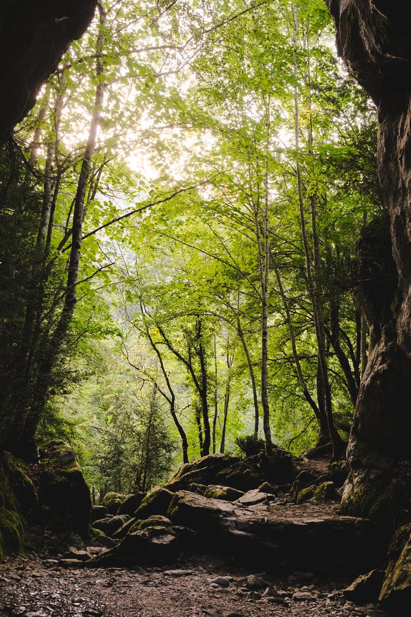 anatantranquila's tweet photo. Dos versiones de la Cueva del Ibón (Valle de Roncal), dos días diferentes: una versión con cascada de agua y otra sin ella. Perspectiva desde el exterior y desde su goteante y fresquito interior 
#Isaba #Pirienos #Navarra https://t.co/UhjcLvMOxD