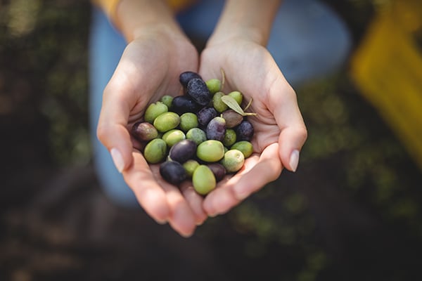 KStateOlathe's tweet photo. Kansas State University Olathe is proud to offer students multiple pathways in urban food systems.
Read more on our blog - https://t.co/l05JH9zpHV
#KStateOlathe #KState #KStateForKansans #KStateConnections #blog #olathe #johnsoncounty #kansas #joco https://t.co/2tbufDavB4