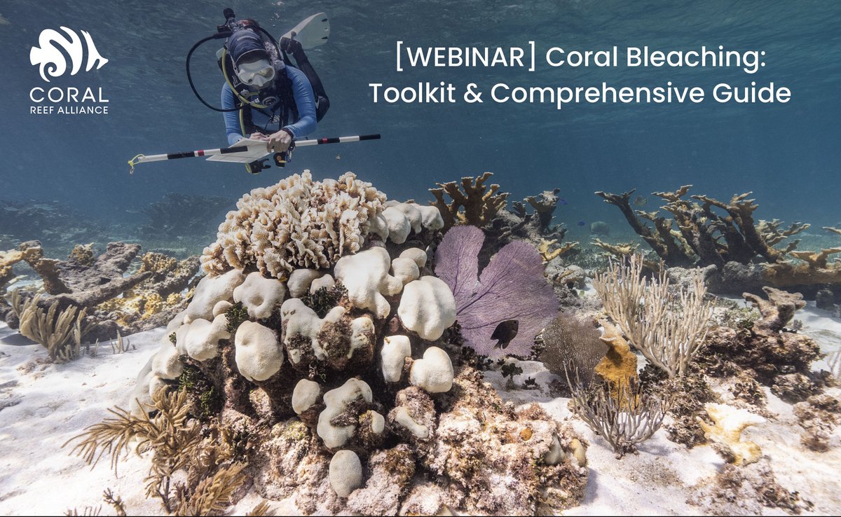 Join us for a crucial webinar unpacking the Coral Bleaching: Toolkit & Comprehensive Guide on September 11 and 12 at 4:00 PM EST 🗓️ The discussion will last 45 minutes with a 15 minute audience Q&A. Register here: hubs.la/Q021htsS0 For Spanish here: hubs.la/Q021hyBV0