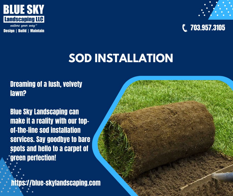 BlueSkyLScaping's tweet photo. Ready to transform your outdoor space? Blue Sky Landscaping's sod installation services are the key to a vibrant and healthy lawn. Get ready to enjoy the beauty of nature right in your own backyard π³πΊ
Check our website for more!
#GardenTransformation #SodExperts #OutdoorOasis https://t.co/eRok5XSJd5