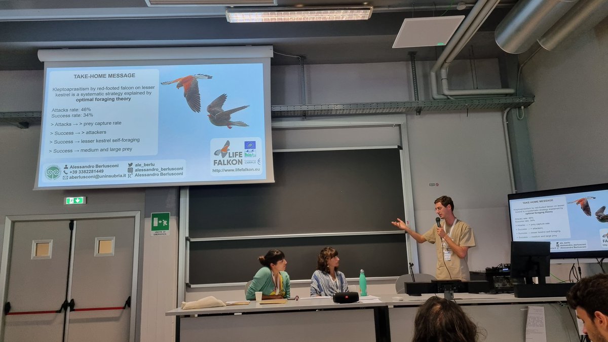 Alessandro Berlusconi tweet media