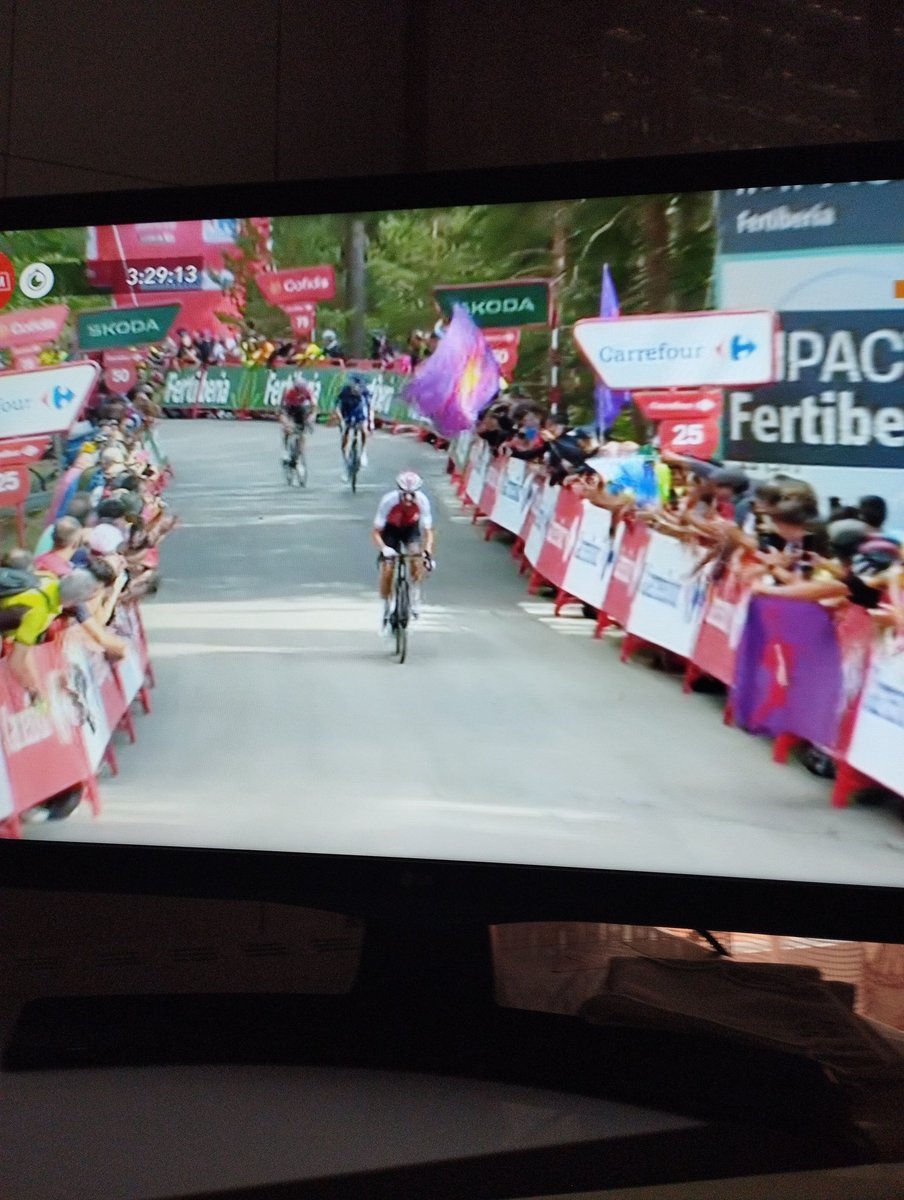 Don PERICO DE LA MANCHA tweet media