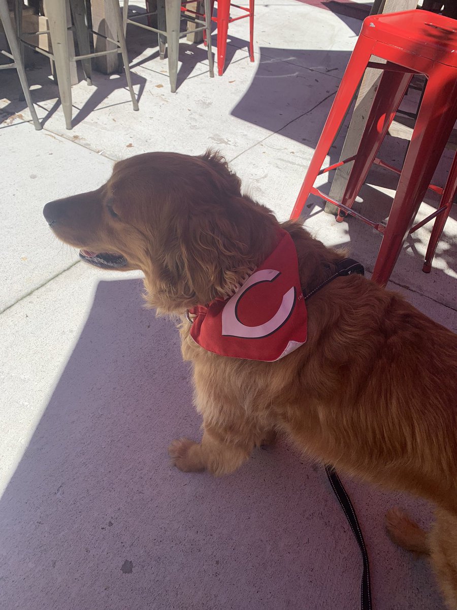Rachelclark101_'s tweet photo. Lincoln says, “Let’s Go Reds!” https://t.co/b0R4pyiY8H