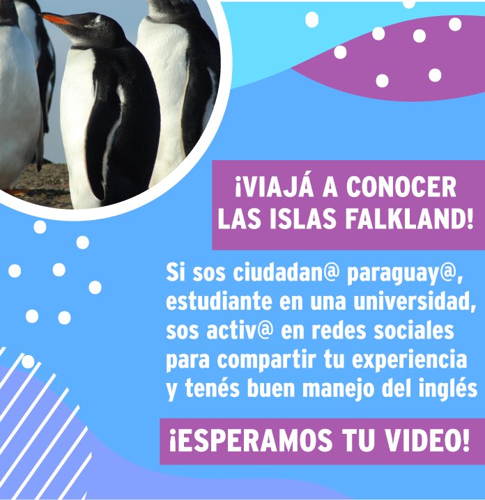UKinParaguay's tweet photo. 🐧 Si sos estudiante universitari@ 🇵🇾, manejás bien el inglés y te gusta compartir en tus redes sociales, ¡podés viajar a las Islas Falkland! 

Enviá un video de un minuto contando en inglés por qué te gustaría conocer a tus vecinos de las Islas Falkland a ukinparaguay@gmail.com https://t.co/JGF1dhOZkQ