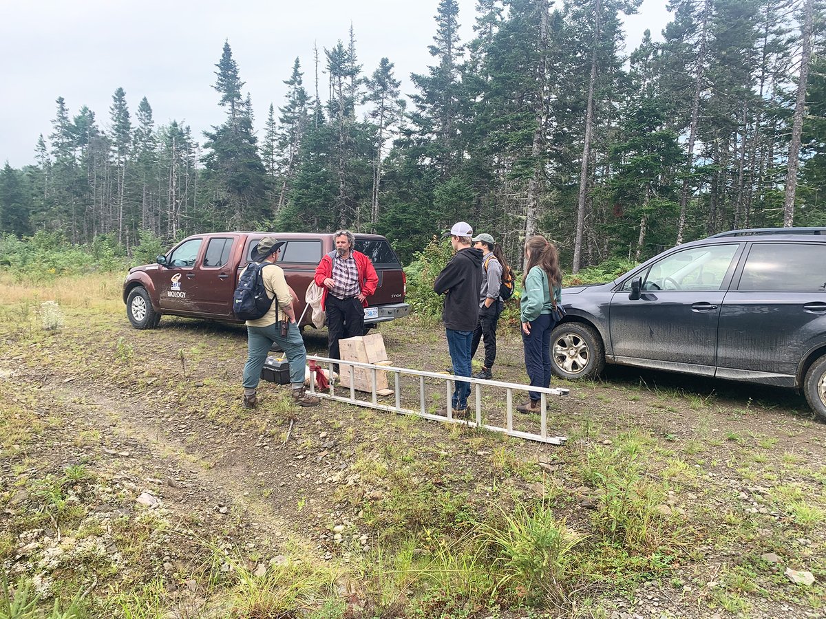 Wonderful day on the St Mary’s Nature Trail installing 3 Boreal Owl nest boxes. We return in late April to look for #nests.

<a href="/BirdsCanada_Atl/">Birds Canada - Atlantic & Québec Region</a> #Owls #Owl #BorealOwl #nestbox #BirdsofTwitter #BirdTwitter #Birds #Ornithology #NovaScotia #Guysborough <a href="/smrasalmon/">SMRA</a> #StFX