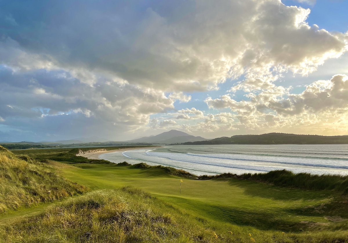 Matt Ginella tweet media