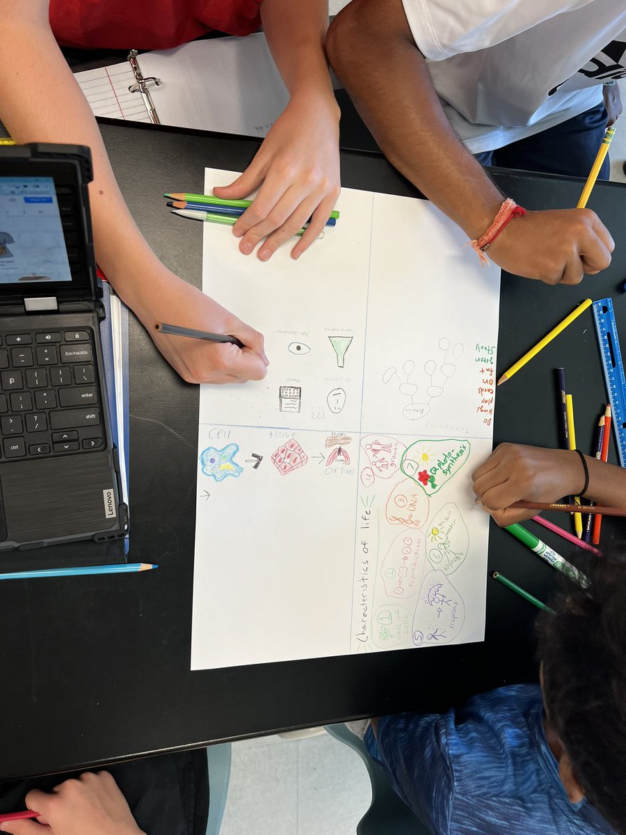 CianaPaye's tweet photo. Honors Biology review posters! 🧬 #biology #ScienceEd @GreenLevelHigh https://t.co/3apHyBkHhO