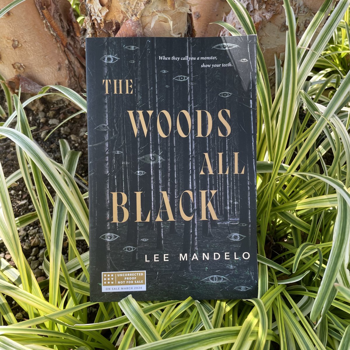 'The Woods All Black [by @leemandelo] is a hopeful, wrathful meditation on monstrous religiosity and queer survival. A bloody, howling catharsis of a book.' — @tashadrinkstea