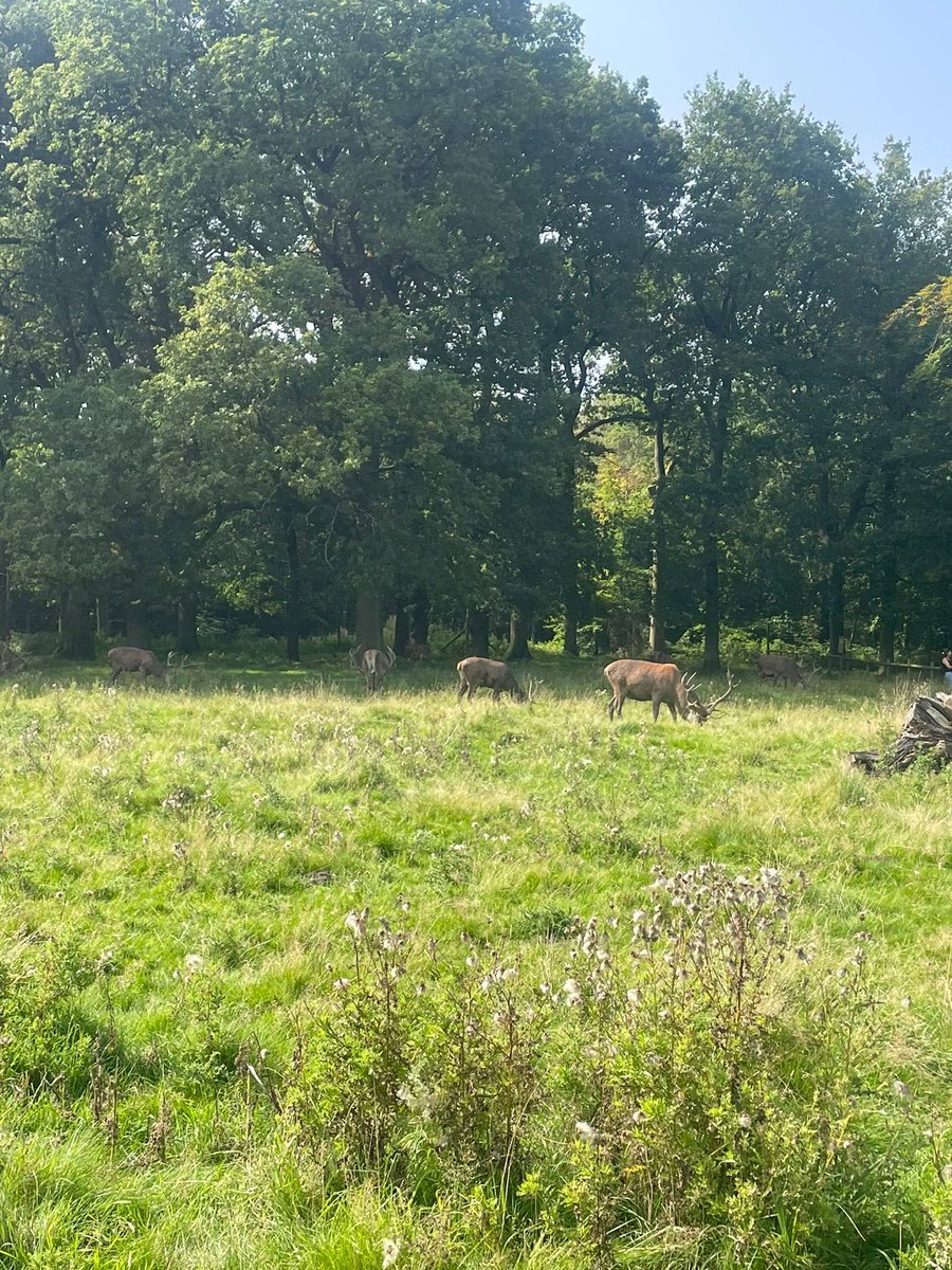 BeyondLawGroup's tweet photo. Another amazing netwalking event at Tatton Park this morning thanks to @freshwalks!

Today’s walk was a ‘Walks for Women’ event and whilst it was very hot, it was a lovely walk and a great opportunity to meet so many inspiring women in business! 

#networking #freshwalks https://t.co/R3Vg8SfCRG