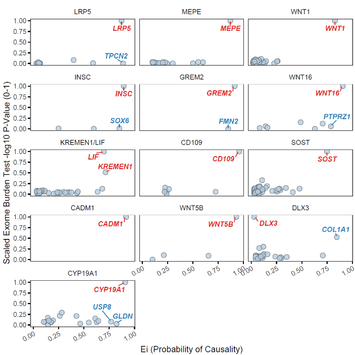 Regeneron Genetics Center tweet media