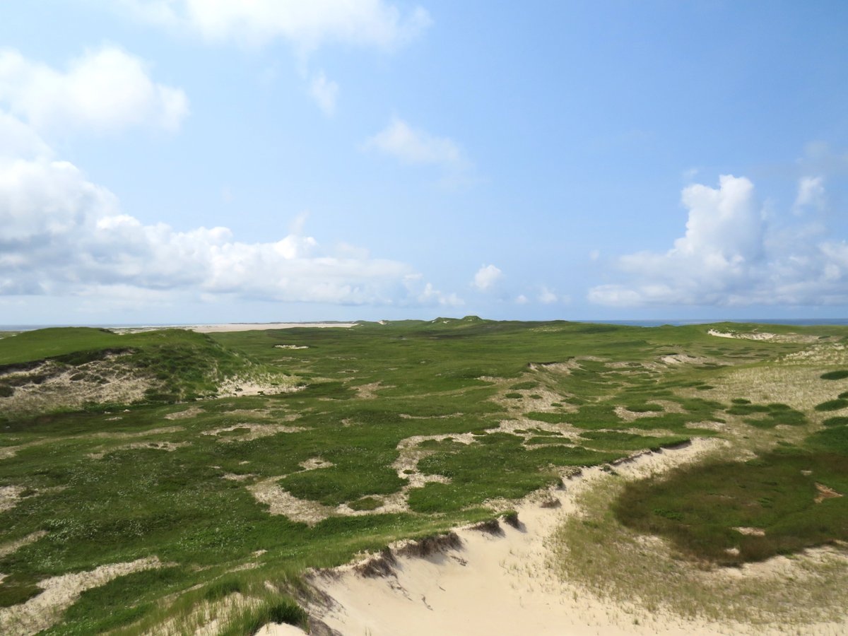 Mason Stothart tweet media