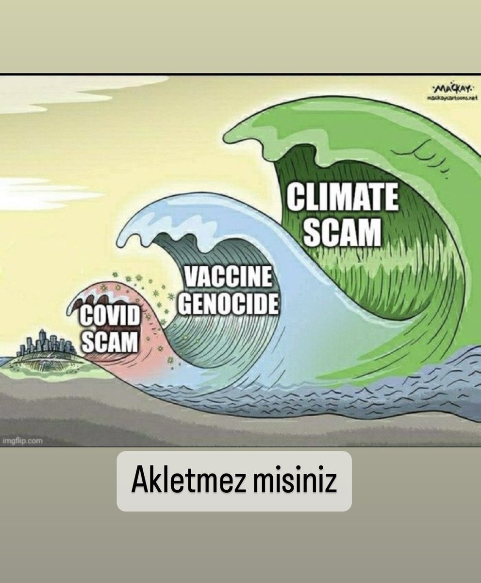 ProfDrSerhatFINDIK (@ProfSFindik) on Twitter photo 2023-09-06 15:38:08