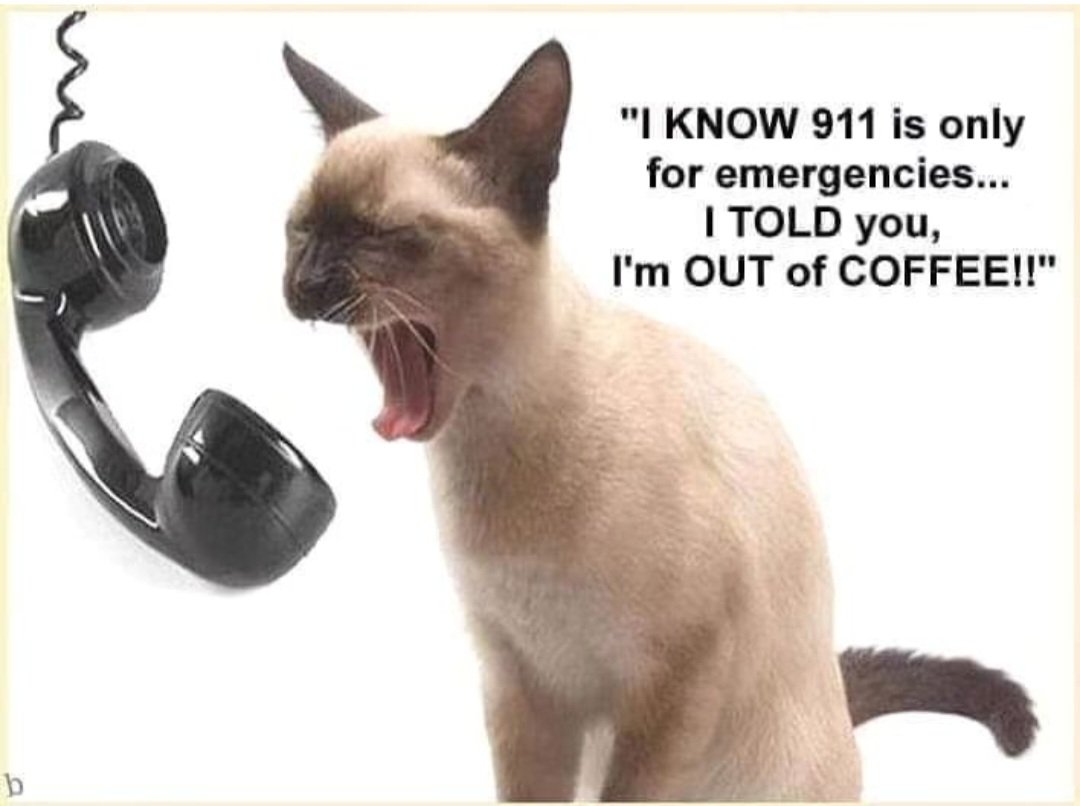 Your_Coffee_Fix's tweet image. ...the definition of #EMERGENCY❗️#CoffeeNow ☕️#OutOfCoffee #911 #CoffeePlease