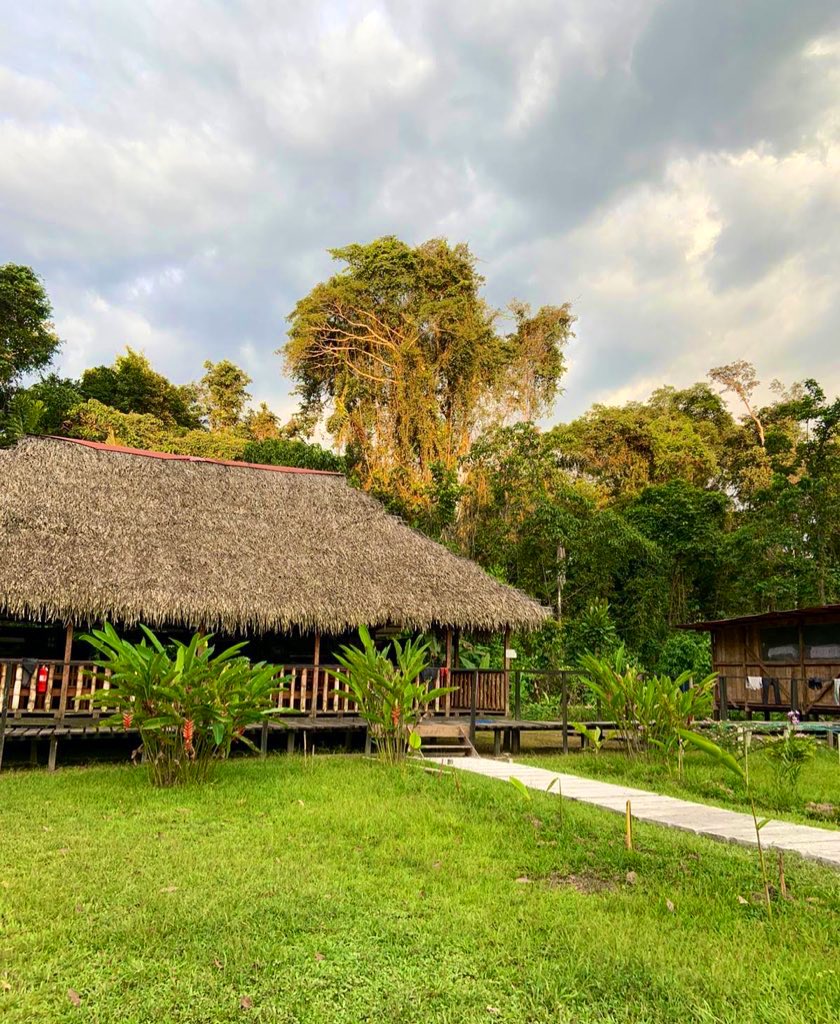 The Amazon 

My wildest travel adventure to date

Would you visit the Amazon?