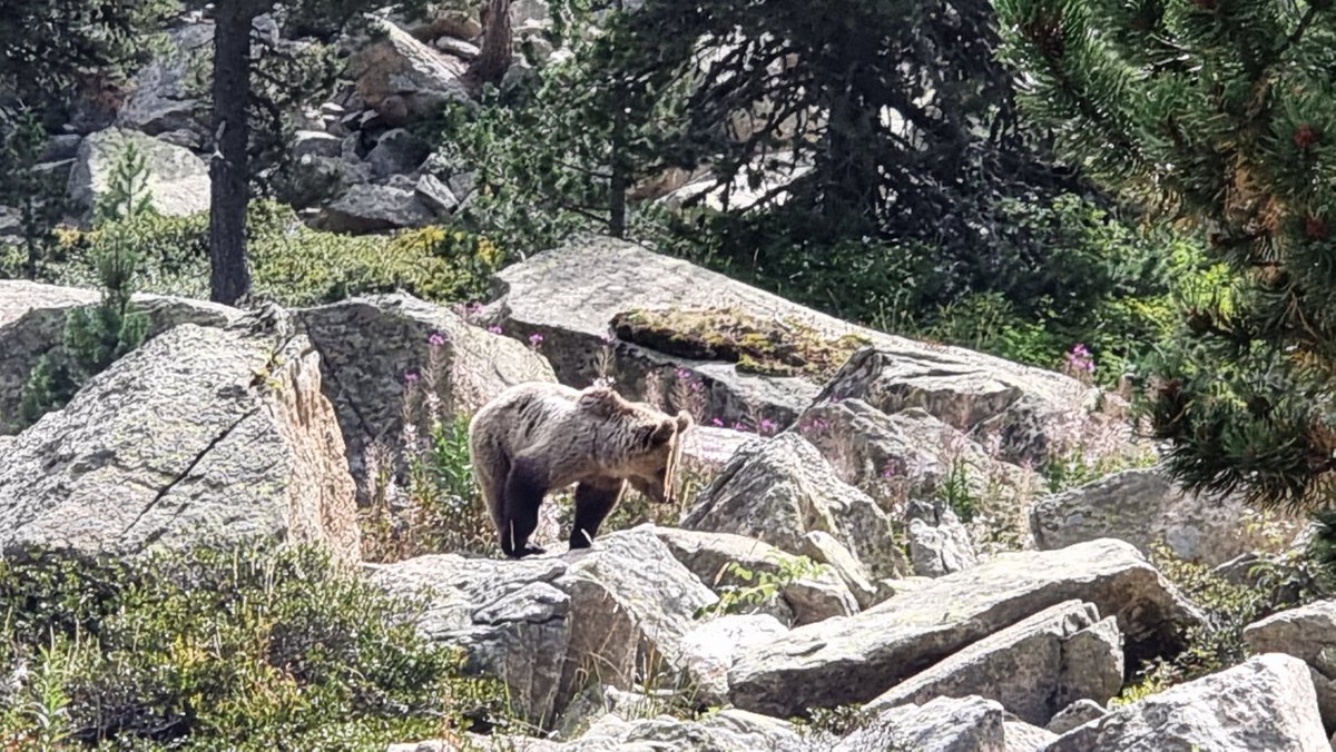 llamp_'s tweet photo. Paseando esta mañana por el Estanys de Gerber @btveltemps @MeteoMauri @meteorac1 @meteocat @SoniaPapell @sarai_sarroca https://t.co/9qT5XzpAIu