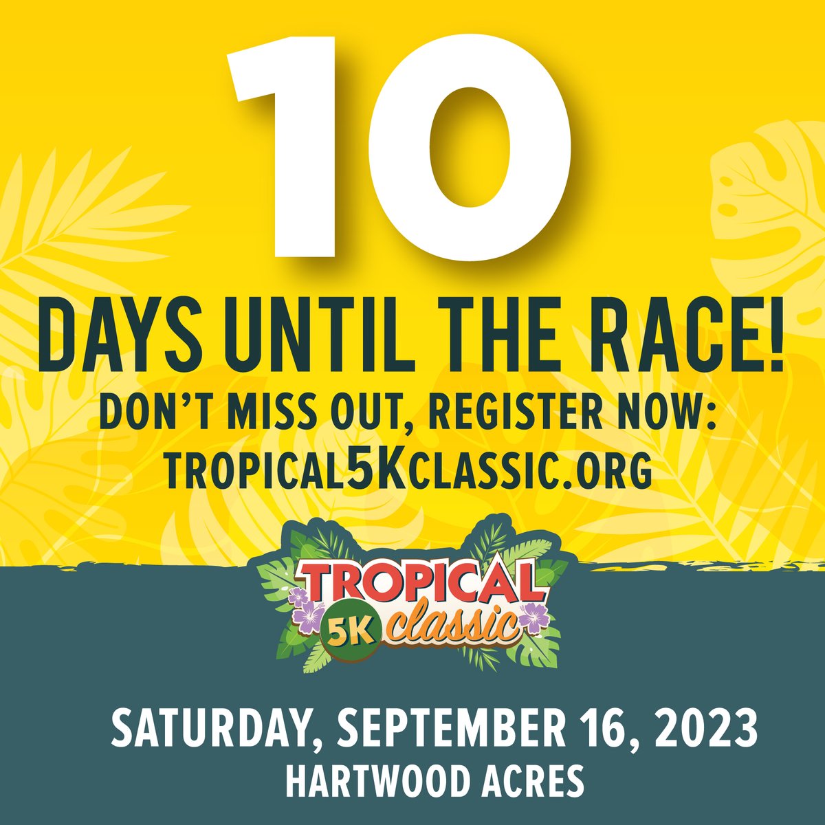 Tropical 5K Classic tweet media
