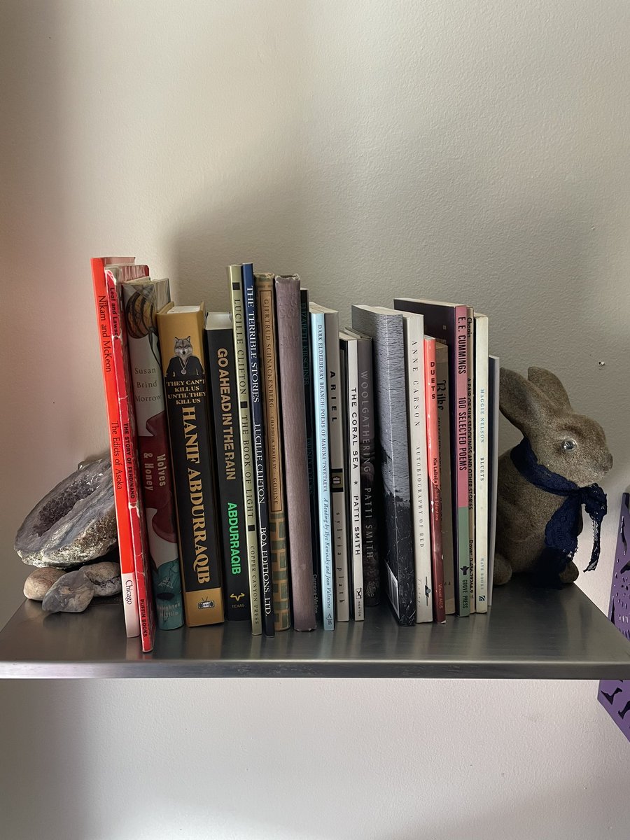 love_an_artist's tweet image. Scenes from the un*named zine library. #zines #zinelibrary #unnamedzinelibrary