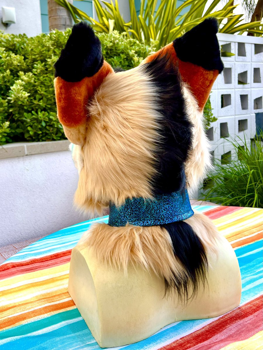 #fursuitforsale #fursuit #partial 

I’m seriously desperate so I’m willing to accept 1500 for my premade and EVERYTHING it comes with. Seriously he was originally priced for 2500 so this is a STEAL. 

RETWEETS are loved and appreciated! I seriously need him sold ASAP!!!
