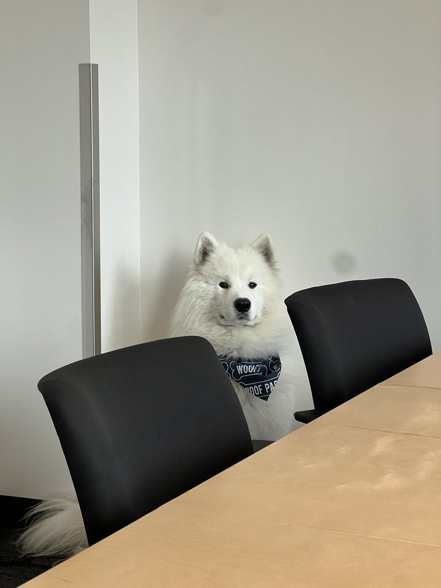 AlyshaPerisho's tweet image. So, what do you exactly do here Mr Bear? #aws #dogsofamazon