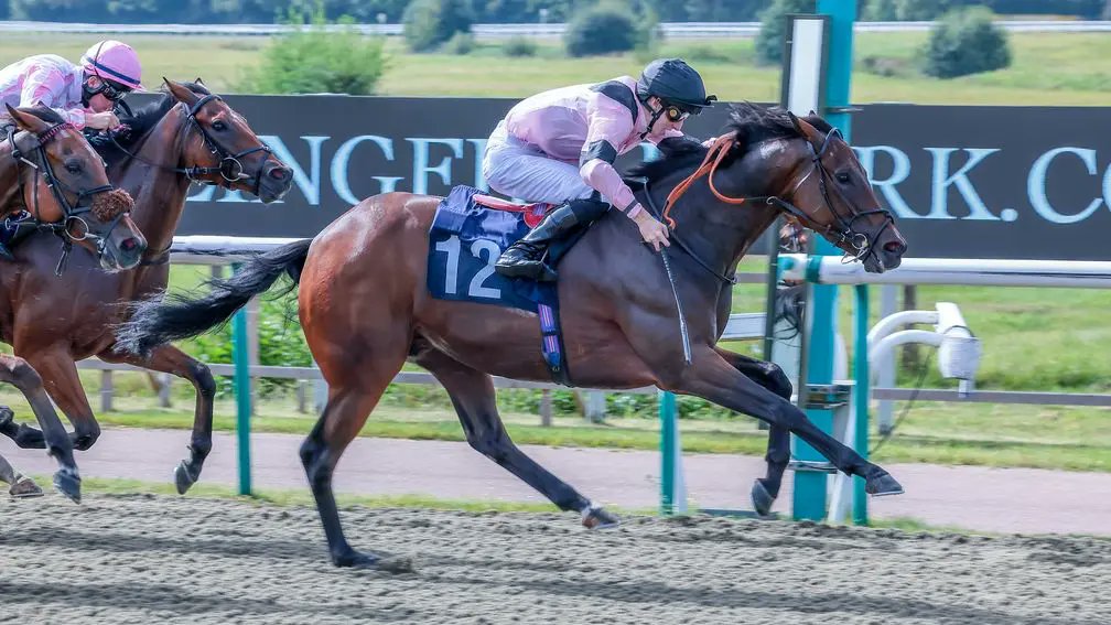Well what can I say, Hold the Press won at Lingfield today (6th Sept) at 100/1, I have worked so hard to get the club up and running and our first winner was fantastic, well done to Jockey Liam Wright, gave him a great ride, be part of us join up, go to allweatherracing.co.uk