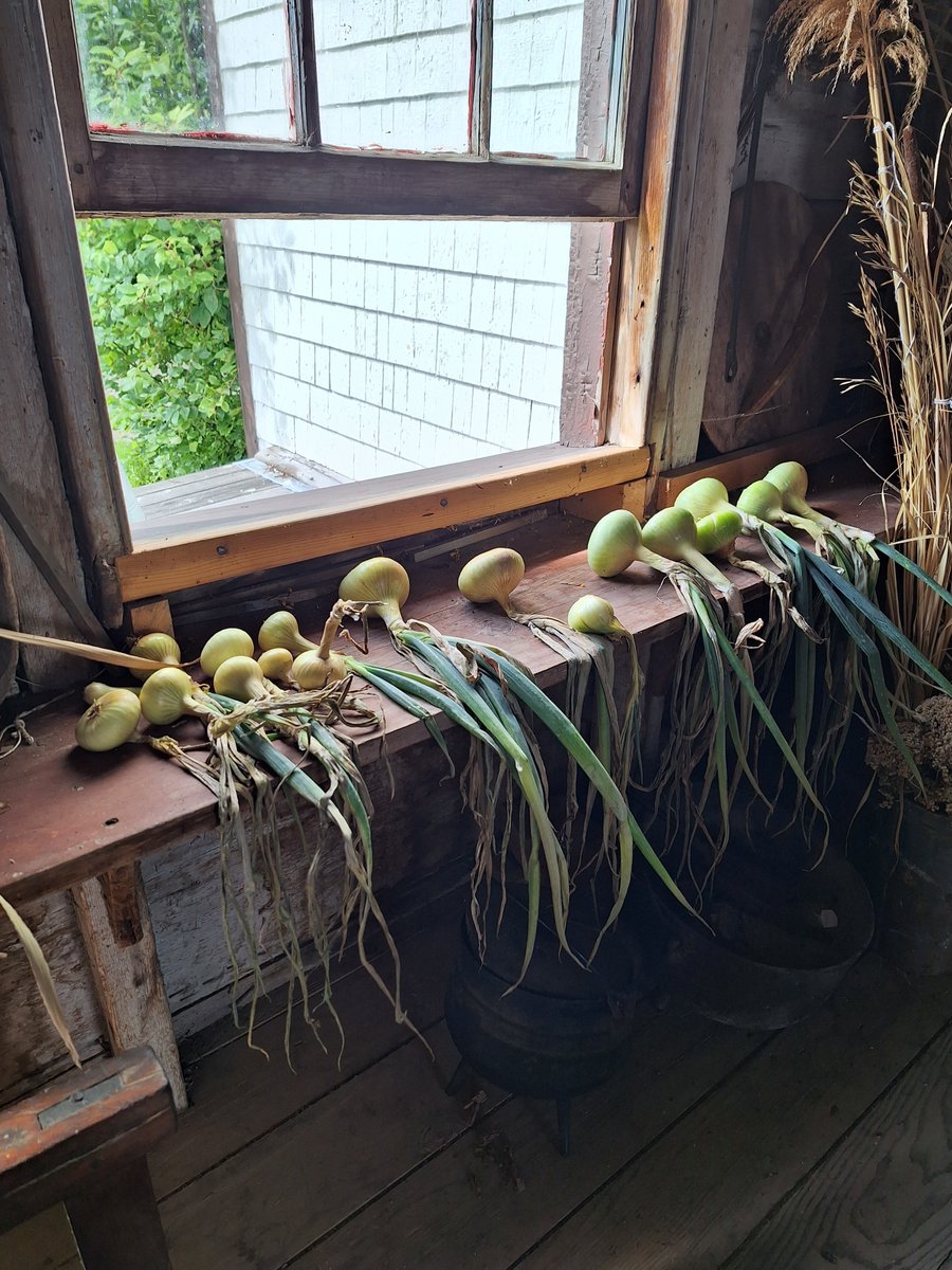 Kings Landing⁷⁴ tweet media