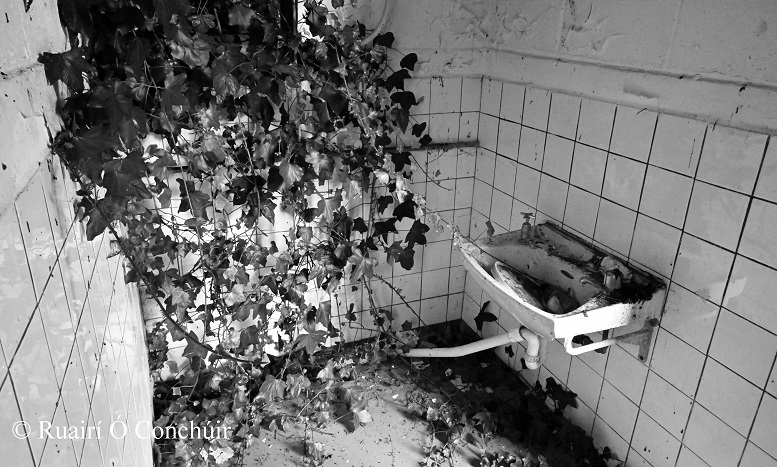 RuairiOConchuir's tweet image. An old abandoned School House (Sept 2023)

#Schoolhouse #Abandoned #Derelict #Broken #Decay #blackandwhitephotography #bnw #BlackandWhite #bnwphoto #bnwphotography