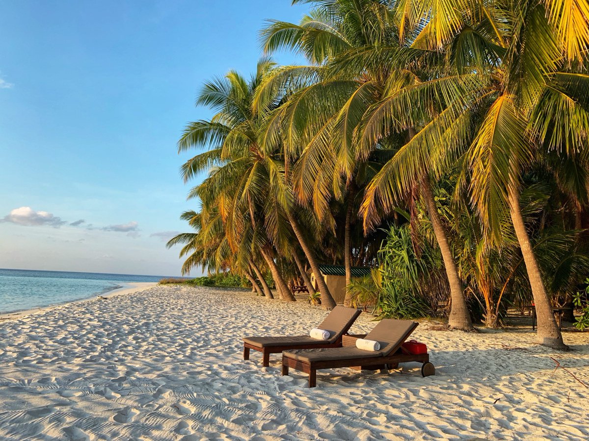 GLTSheila's tweet photo. Would Your Leadership Pass The Vacation Test? https://t.co/Ajvhi7D4tv  @gltsheila

#leadership #leadershipskills #leadershipdevelopment #executivecoaching https://t.co/rqqHmuXWyx