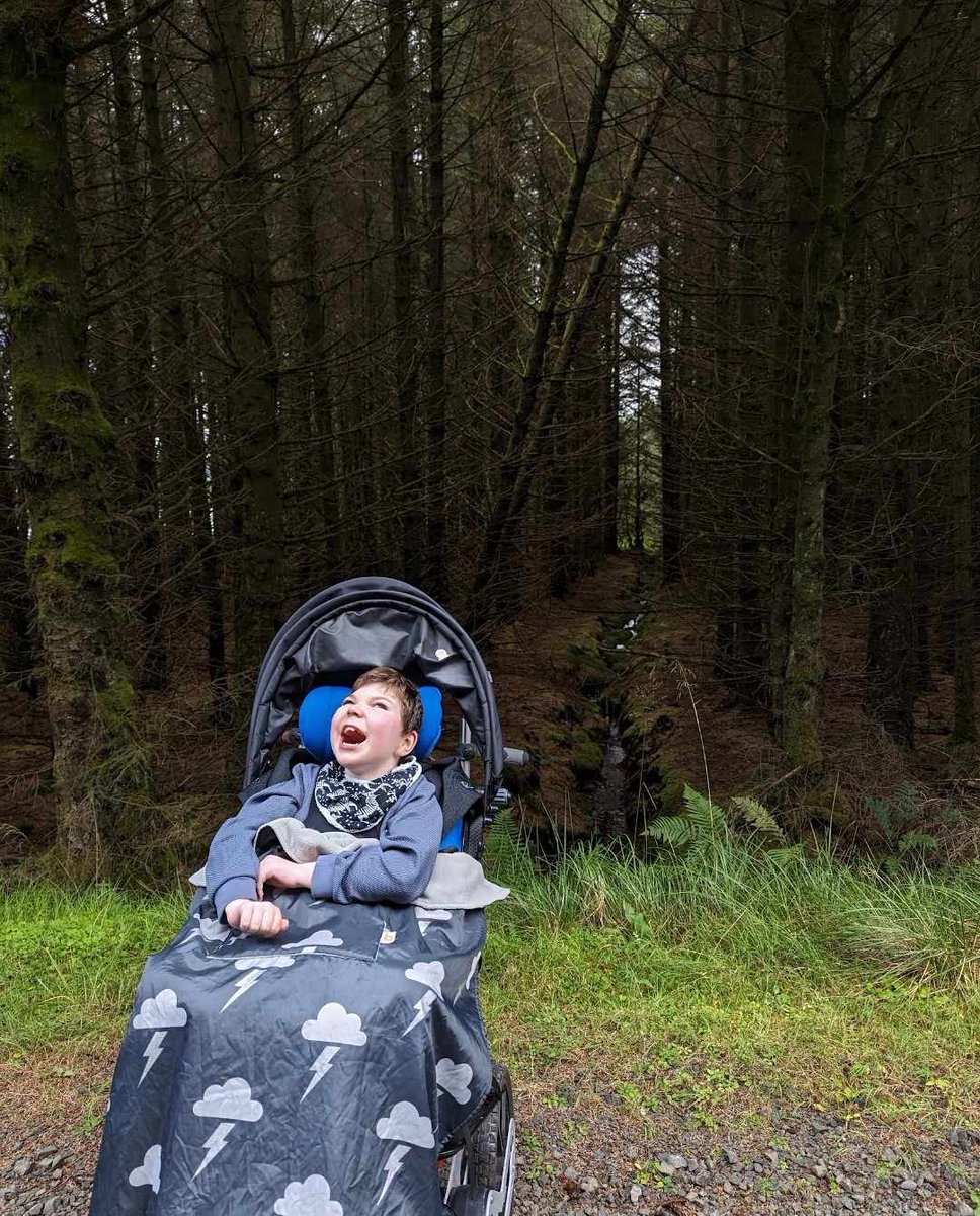 BundleBean tweet media